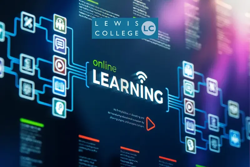 Why Beginner Learning Guides Are Important